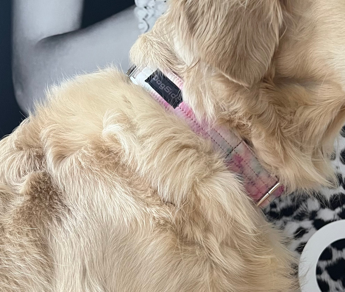 Rainbow collar